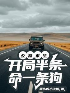 公路求生重生之资源开始