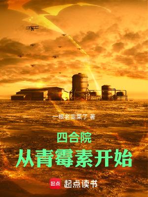 四合院从青霉素开始篱笆