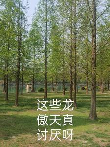 龙傲天都以为