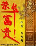 贵不可言可以比喻什么