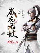 威龙neo