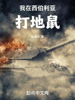 我在西伯利亚打地鼠鸿宇首发