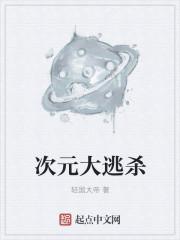 次元大作战英雄大全