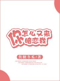 你怎么又来暗恋我无防盗章