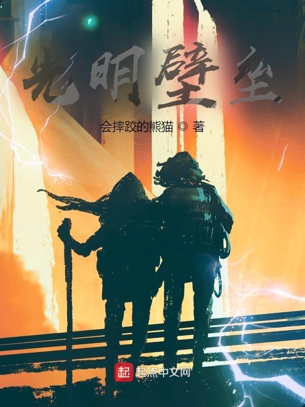 the wild darkness 光明遗迹