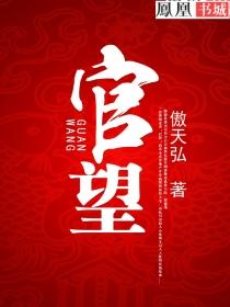 官望权利冲天 第32章