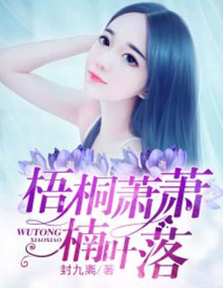 梧桐叶落潇潇雨作文