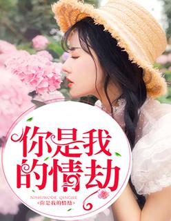 你是我的情劫短剧免费观看全集