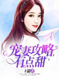 宠妻系列甜宠无虐