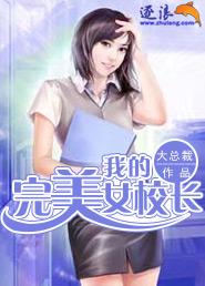 我的完美校花简介
