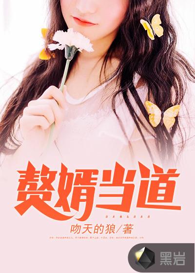 赘婿当道TXT免费全本
