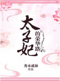 太子妃的荣华路txt书包网