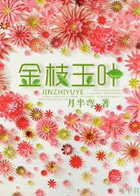 金枝玉叶适合放在室内吗