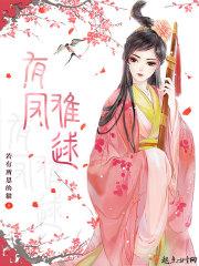 凤难求讲的是什么