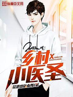 乡村小医圣全文免费阅读