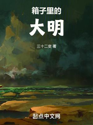 箱子里的大明txt电子书