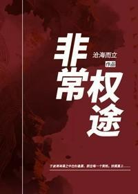 官场非常权途