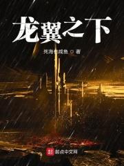 射击游戏龙之翼