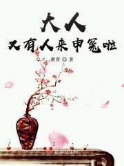 大人冤枉啊 游戏