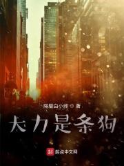 大力哥的全名叫