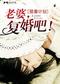 猎妻计划老婆复婚吧免费阅读