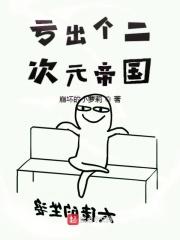 二次元的国度