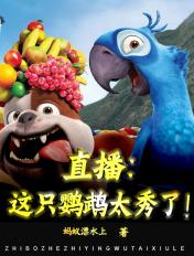 播放鹦鹉是啥