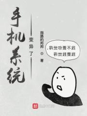 手机系统混乱了怎么办