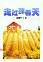 走过了春天走过了夏天是什么歌