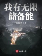 我有无限备胎返利金txt