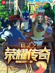 神奇宝贝之征程