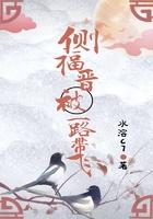 侧福晋日常