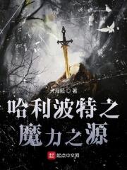 哈利波特之魔法之心