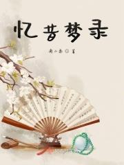 忆昔yvis