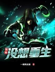 我真没想重生啊王梓博