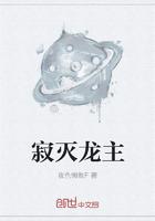 寂灭领域