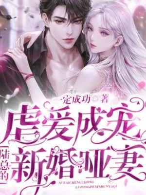 虐爱成宠陆总的新婚哑妻热播短剧13