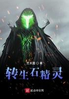 转生精灵少女免费阅读