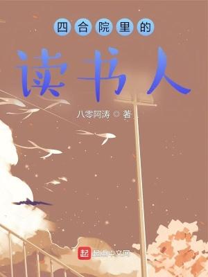 四合院里的读书人燃文