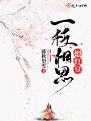 一枝相思煨红豆女主角是谁