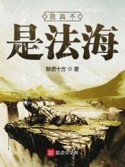 我真不是法爷 无防盗